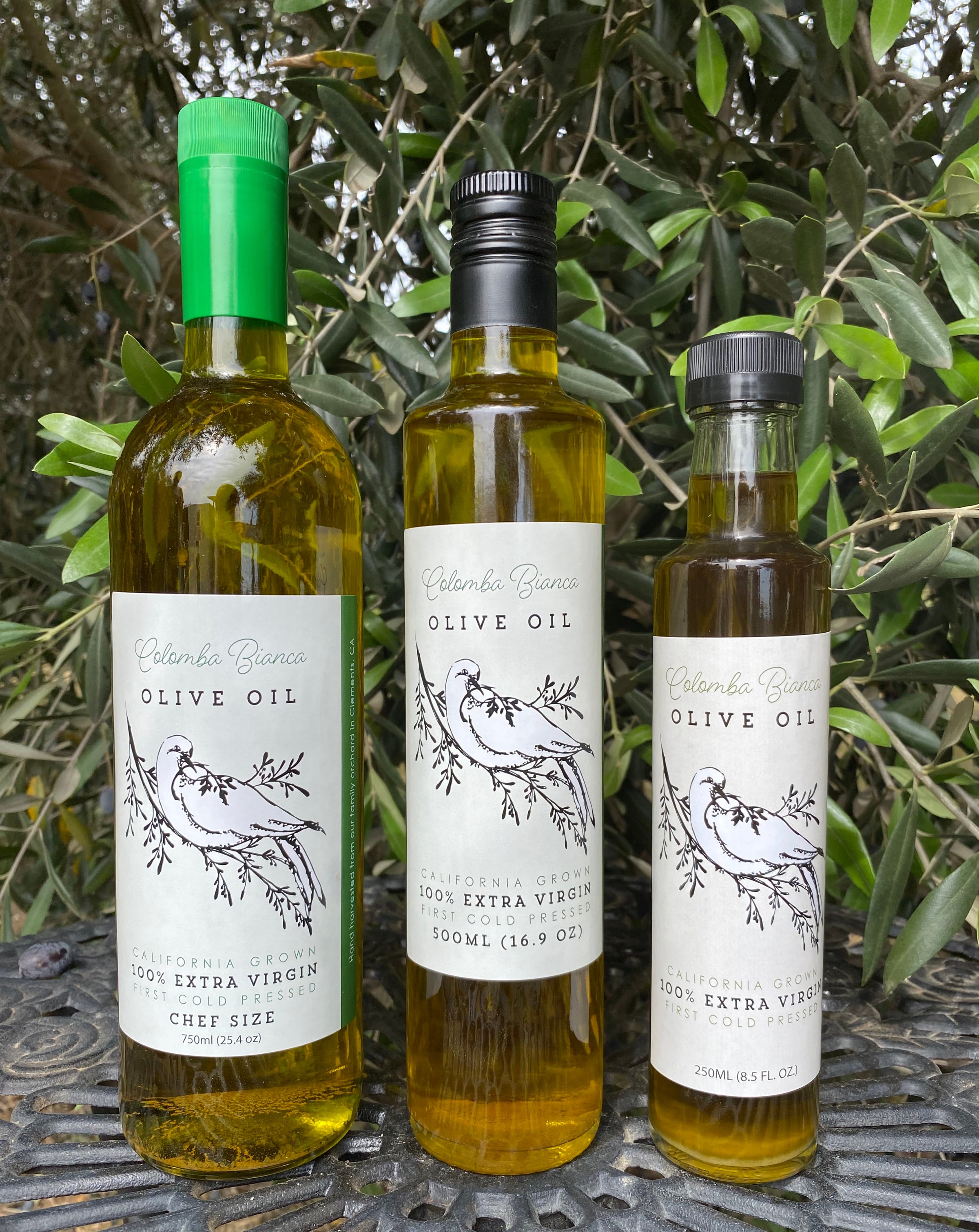 Olive Oil | Colomba Bianca